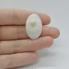 Cabochon Cuart Solar 29x18x6mm C155
