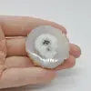 Cabochon Cuart Solar Felie 41x42x7mm C35