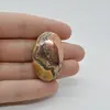 Cabochon Cupru 37x23x7mm C34