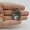 Cabochon Jasp Asteroid 33x23x6mm C24, imagine 2
