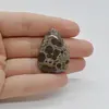Cabochon Jasp Asteroid 34x24x7mm C5