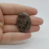 Cabochon Jasp Asteroid 34x25x6mm C43