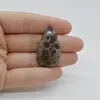 Cabochon Jasp Asteroid 36x21x6mm C35