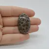 Cabochon Jasp Asteroid 36x22x6mm C53