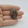 Cabochon Jasp Asteroid 36x24x8mm C34