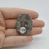Cabochon Jasp Asteroid 37x27x6mm C25, imagine 2