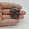 Cabochon Jasp Asteroid 37x27x6mm C25