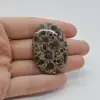 Cabochon Jasp Asteroid 43x30x6mm C14
