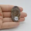 Cabochon Jasp Asteroid 44x26x7mm C7, imagine 2