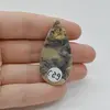 Cabochon Jasp Cawanit 45x23x5mm C29, imagine 2