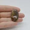 Cabochon Jasp Cobra 35x21x8mm C13