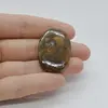 Cabochon Jasp Cobra 35x24x6mm C5