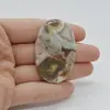 Cabochon Jasp Coffee 49x31x7mm C13