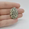 Cabochon Jasp Dalmatian 31x22x6mm C98