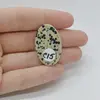 Cabochon Jasp Dalmatian 32x20x6mm C15, imagine 2