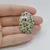 Cabochon Jasp Dalmatian 35x24x5mm C18