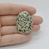 Cabochon Jasp Dalmatian 36x25x5mm C28