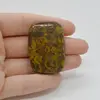 Cabochon Jasp Fruity 43x30x6mm C54