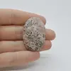 Cabochon Jasp Leopard 2 40x26x7mm C54