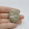 Cabochon Jasp Leopard 2 43x31x6mm C40