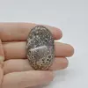 Cabochon Jasp Leopard 2 44x27x6mm C6