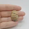 Cabochon Jasp Peisaj 30x19x6mm C113