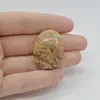 Cabochon Jasp Peisaj 32x24x6mm C47