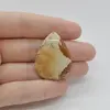 Cabochon Jasp Peisaj 34x26x5mm C79