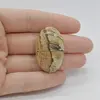 Cabochon Jasp Peisaj 36x22x9mm C42