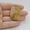 Cabochon Jasp Peisaj 41x27x5mm C76