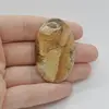 Cabochon Jasp Peisaj 46x29x5mm C98