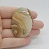 Cabochon Jasp Peisaj 49x35x6mm C56