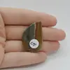 Cabochon Jasp Policrom 35x23x6mm C91, imagine 2