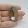 Cabochon Jasp Policrom 43x25x6mm C64, imagine 2