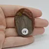 Cabochon Jasp Policrom 47x33x6mm C8, imagine 2