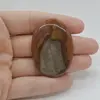Cabochon Jasp Policrom 47x33x6mm C8