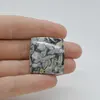 Cabochon Pinolith 29x27x5mm C52