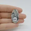 Cabochon Pinolith 36x20x6mm C23, imagine 2