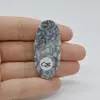 Cabochon Pinolith 46x20x6mm C26, imagine 2