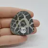 Cabochon Septaria Negru 44x41x6mm C43, imagine 2