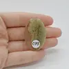Cabochon Agat Moss Indonezia 41x27x7mm C75, imagine 2