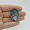 Cabochon Hornblend 37x25x6mm C33, imagine 2