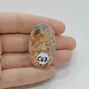 Cabochon Jasp Leopard 39x23x7mm C67, imagine 2