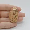 Cabochon Jasp Leopard 42x25x6mm C30