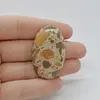 Cabochon Jasp Leopard 42x25x6mm C90