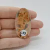Cabochon Jasp Leopard 48x25x6mm C23, imagine 2