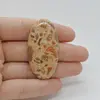 Cabochon Jasp Leopard 48x25x6mm C65