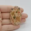Cabochon Jasp Leopard 50x30x5mm C66