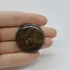 Cabochon Stromatolit 34x34x6mm C56