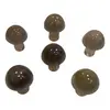 Ciuperca Agat gri 20mm, imagine 2